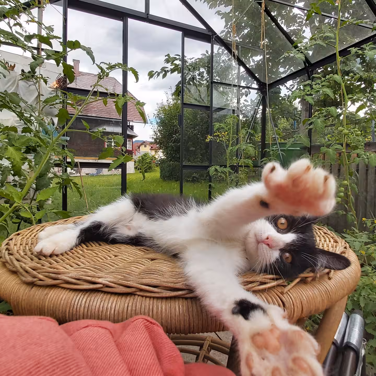 234d10fb 24a5 4a1c 8d23 22b0588471a0