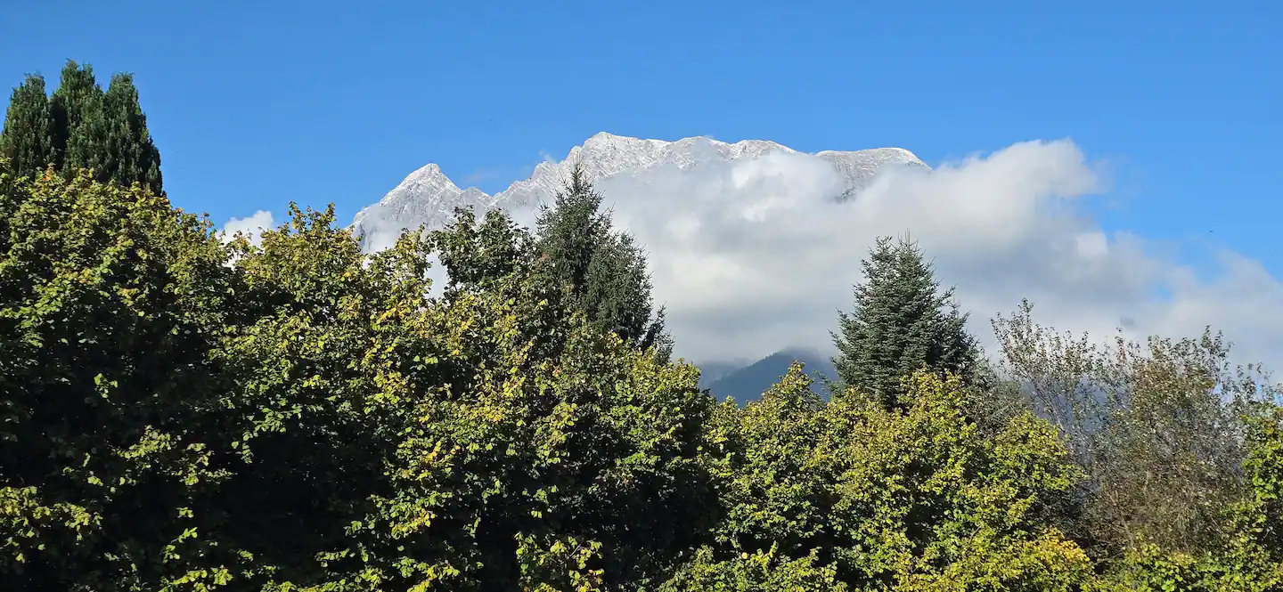 945c8324 c135 464f 8636 e022bbf57a65